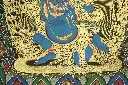 IMG_1486.webp