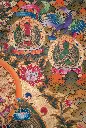 IMG_2420.webp