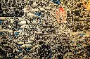 IMG_5424.webp