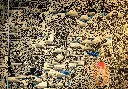IMG_5430.webp
